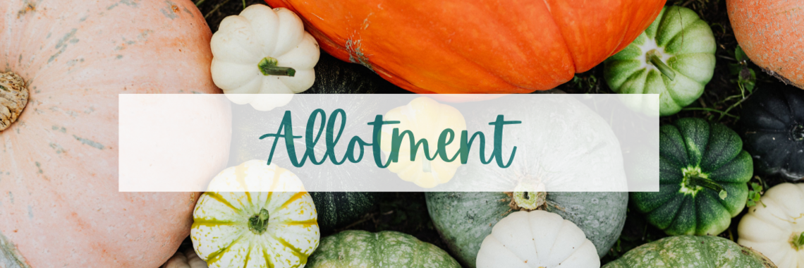 Multicoloured pumpkins with the word allotment written over the top