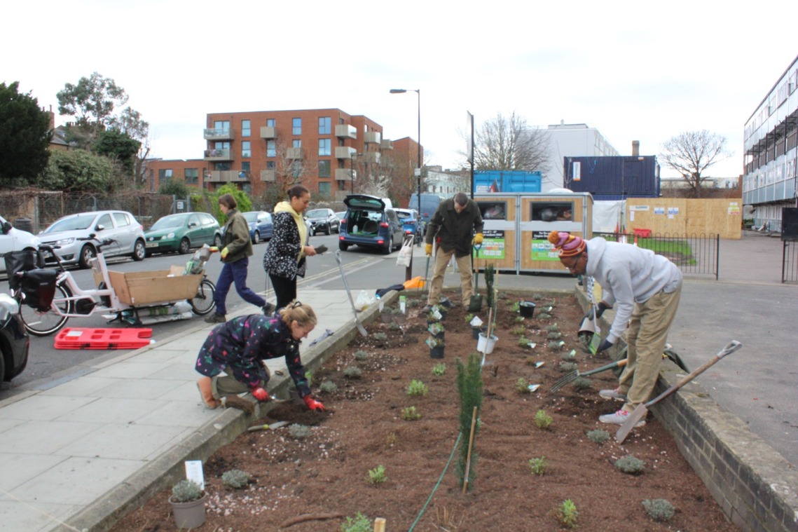 Caspian St planting