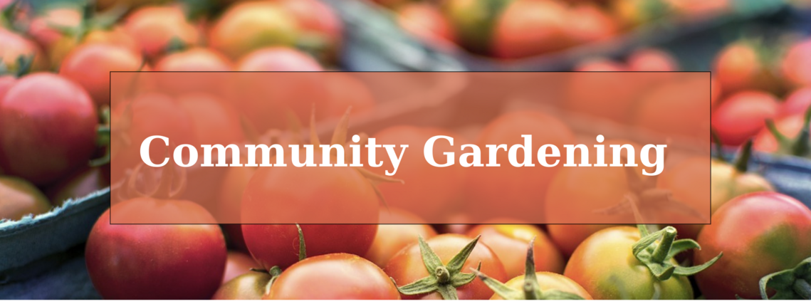 A background of cherry tomatoes on the vine overlapped by the words &quot;community gardening&quot;