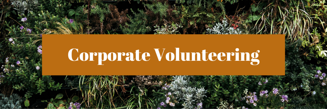 A backdrop of green foliage with an orange rectangle and the words corporate volunteering printed in white .