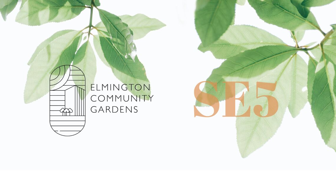 Green leaves form across the top of a white background with ECG logo and SE5 in orange letters