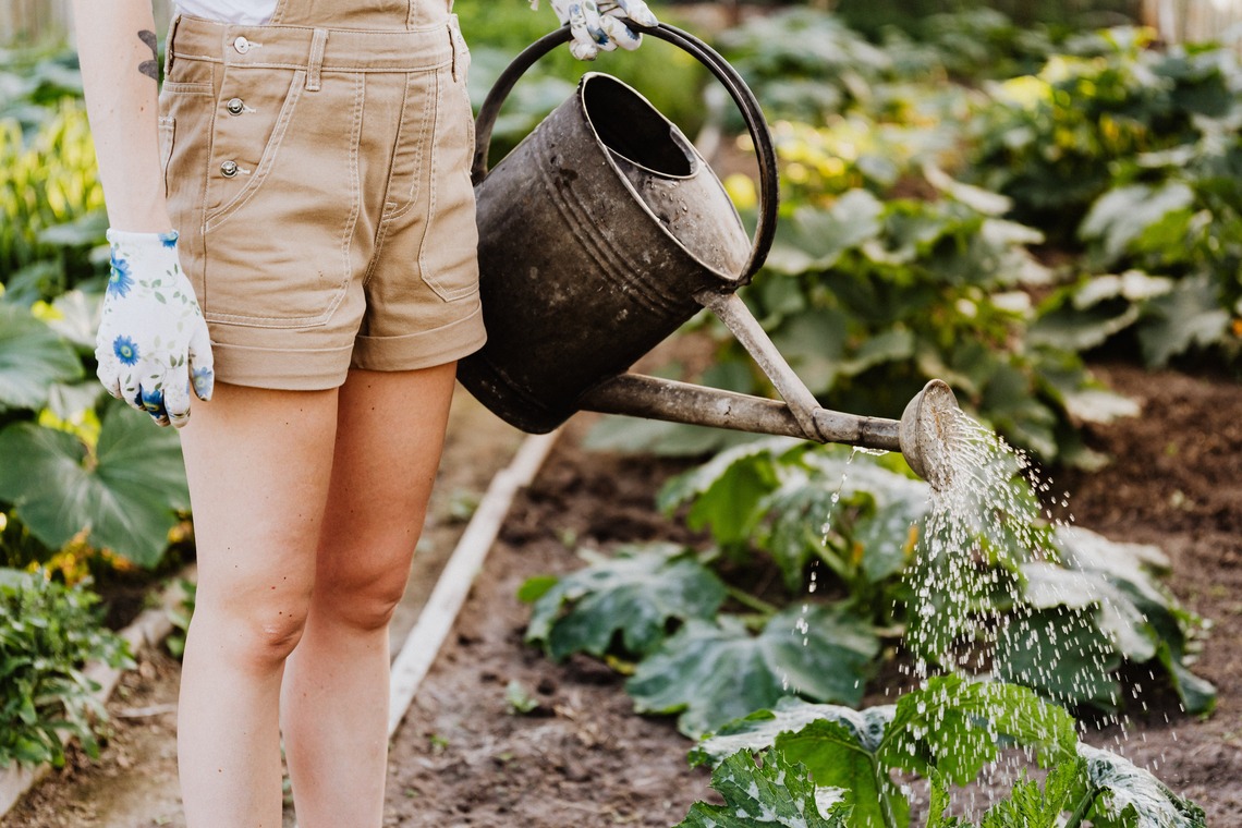 Allotments